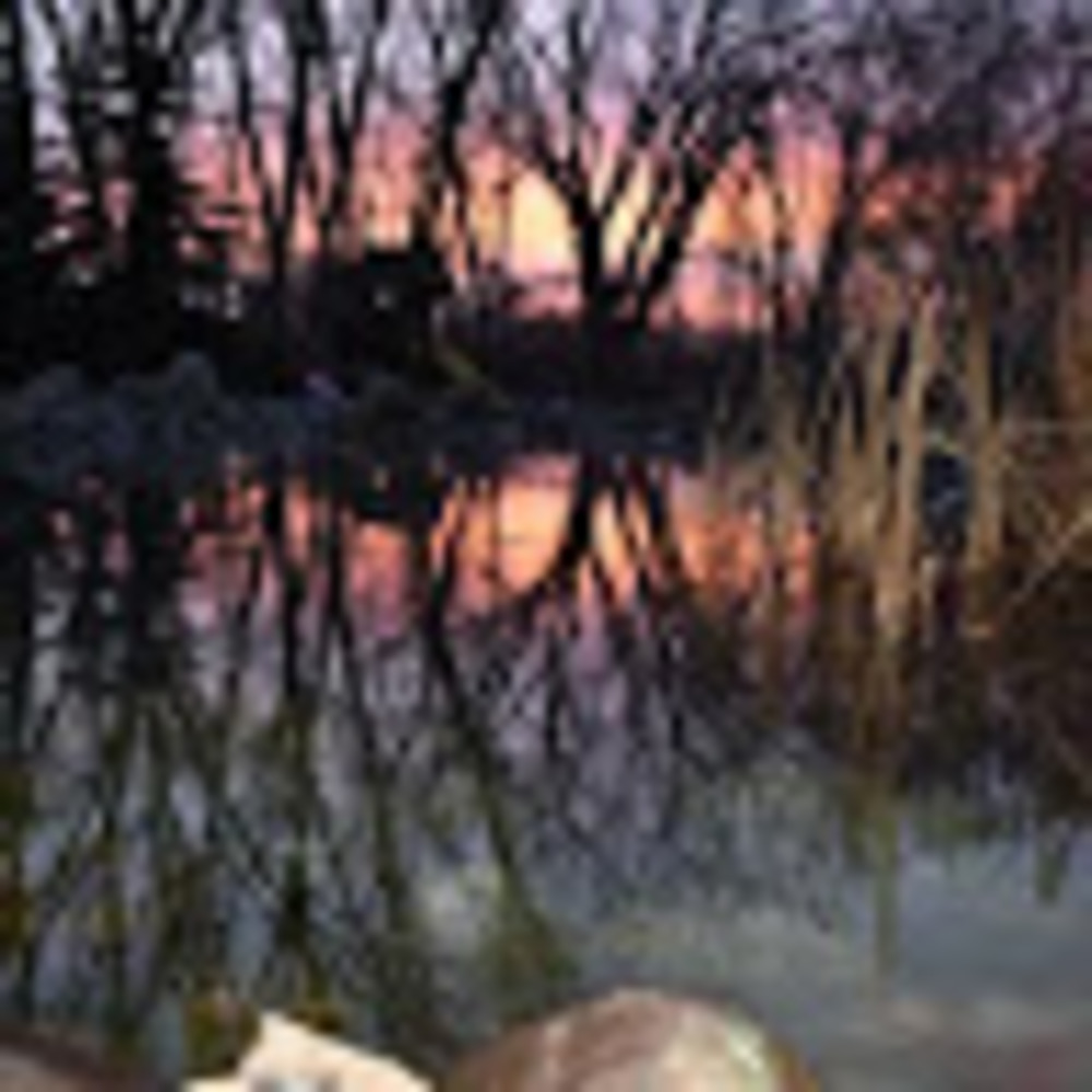 Meet your Posher, Kaylan